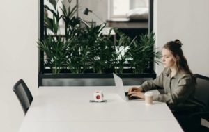 View of woman seated at conference table working on laptop with coffee and stylish plants with mirror in the background