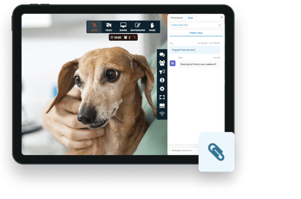 video call for a sick dog with document uploading feature