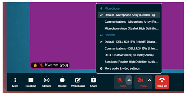 audio drop down menu on nnew in call page